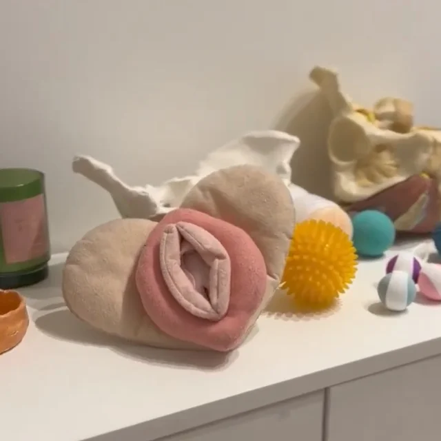 Pack Fisioterapia Pélvica